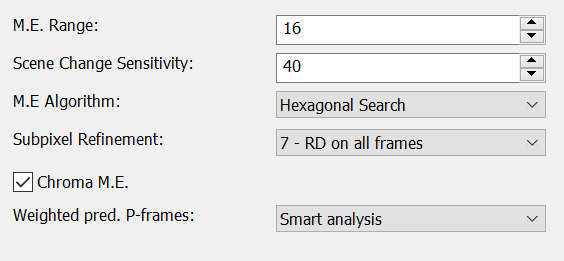 H.264 Codec: Motion estimation settings