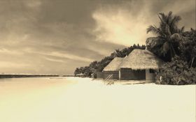 image with seia effect