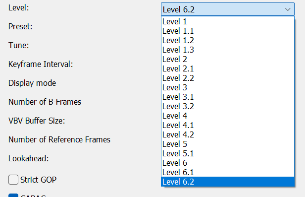 Nvidia NVENC H.264 Codec: Level Settings