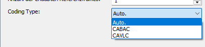 AMD AMF H.264-Codec Coding Typ Einstellungen