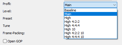 H.264 Codec: Profil Einstellungen