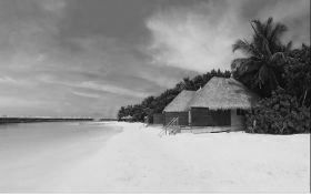 Schönes Foto von ein Strand mit reduziert Sättigung