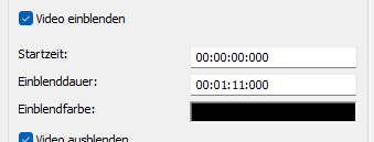Video einblenden